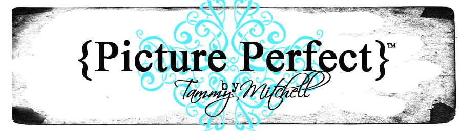 Picture Perfect Header for Blog Picture Perfect Header for Blog