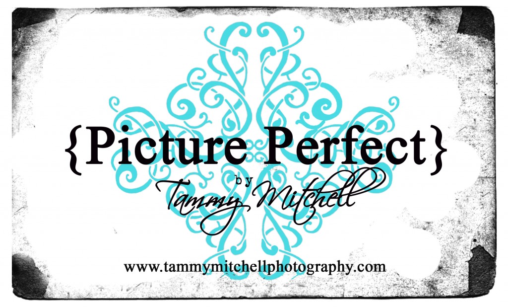 Picture Perfect Logo with white background and BLUE stamp copy Picture Perfect Logo with white background and BLUE stamp copy