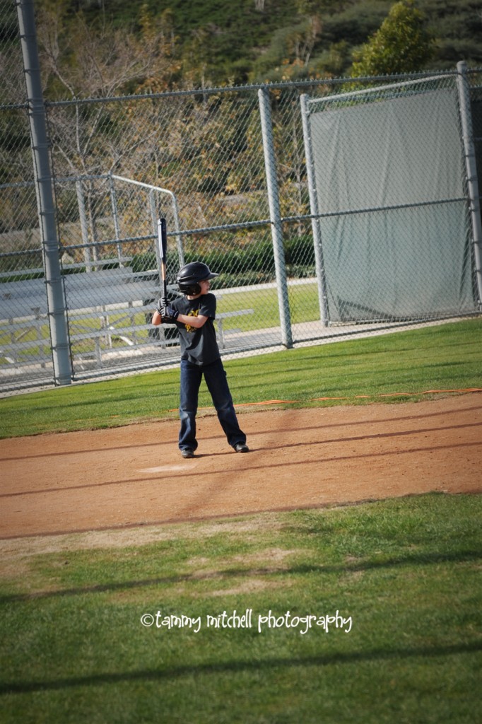 andy baseball 1 web andy baseball 1 web