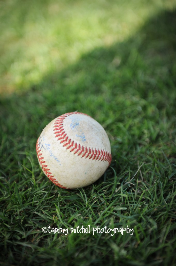 andy baseball 2 web andy baseball 2 web