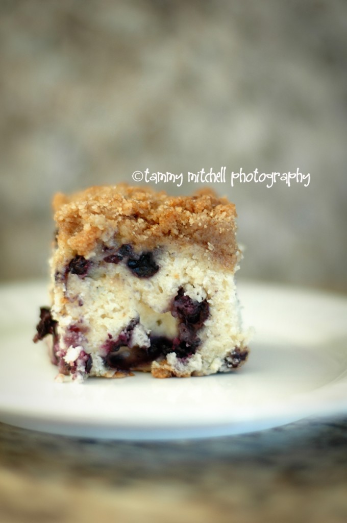 blueberry buckle 1 web