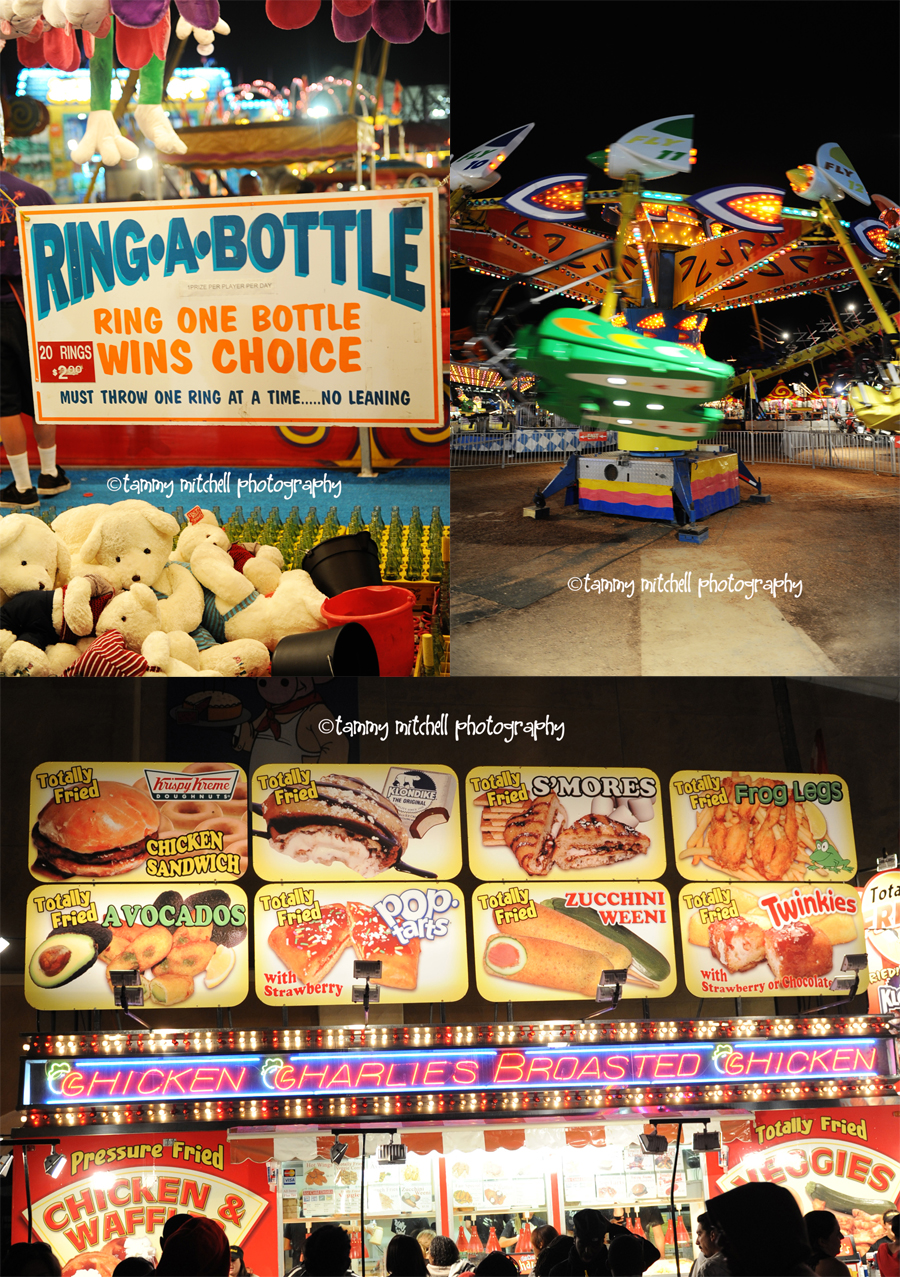 fair sneak collage