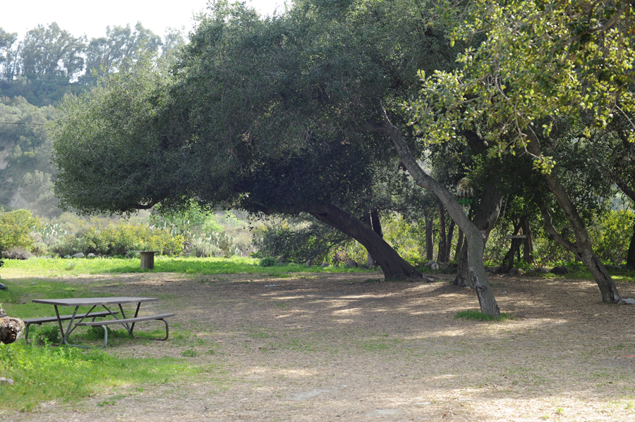 parker ranch 1 web