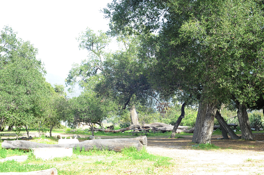 parker ranch 3 web