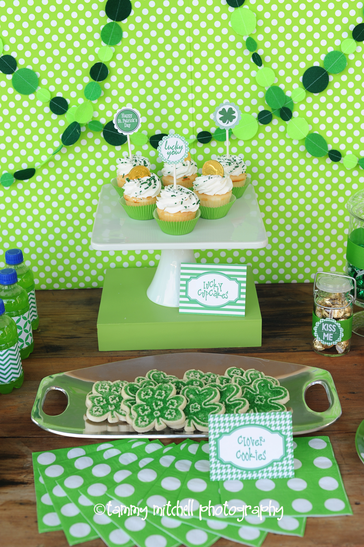 st. patrick's day party, party food ideas, favor ideas