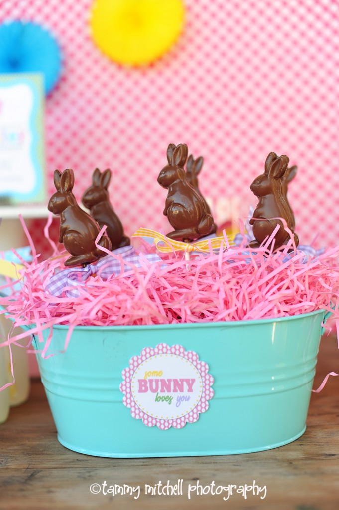 diy chocolate bunnies