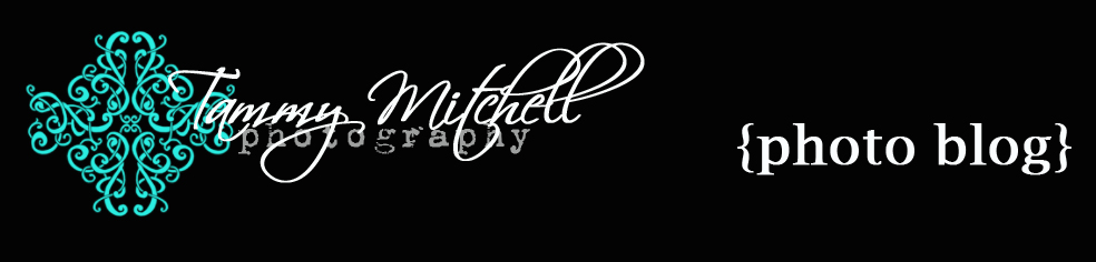 Tammy Mitchell Photography logo